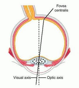 Understanding Eye Tracking & How it Can Work for You: Definitions, Metrics, and Applications 2 Visual And Optic Axes