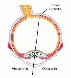 Understanding Eye Tracking & How it Can Work for You: Definitions, Metrics, and Applications 2 Visual And Optic Axes