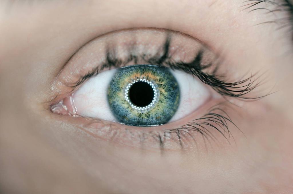 How to Take Your Shelf and Merchandising Strategy to the Next Level, with 3D Eye Tracking Technology & Data 3 Retail-Merchandising-Eye-Tracking